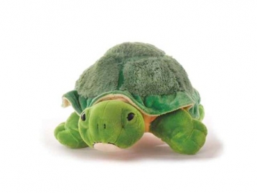 Plüsch Land-Schildkröte grün 27cm